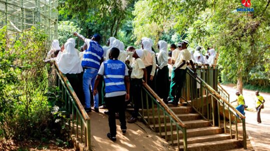 Students on a Miana Tours school trip exploring a historical site, turning classroom lessons into real-life experiences.