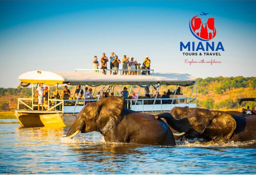 Group of travelers on safari vehicle watching lions in Masai Mara National Reserve during Kenya group tour