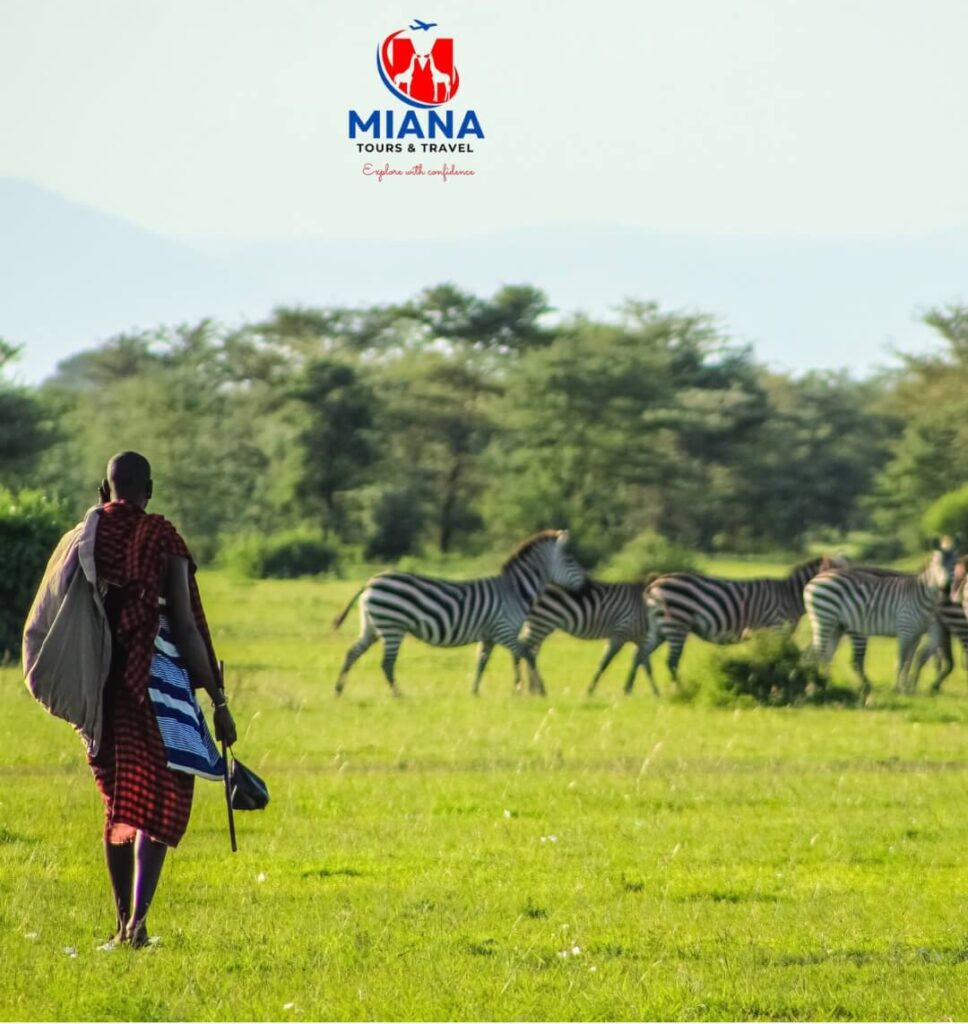 Safari vehicle observing elephants in Tarangire National Park during a 5-day Tanzania safari