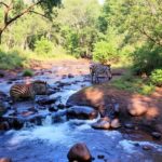 Tourists enjoying scenic Ugandan landscapes in December with clear skies and lush greenery during a holiday adventure.