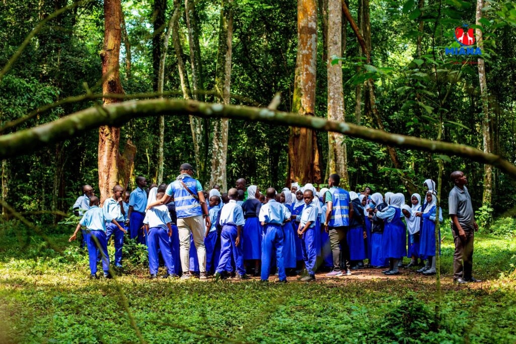 Students on an educational school tour in Eastern Uganda visiting Kibimba Irrigation Scheme, Busitema Forest, Malaba Border, and Tororo Rock