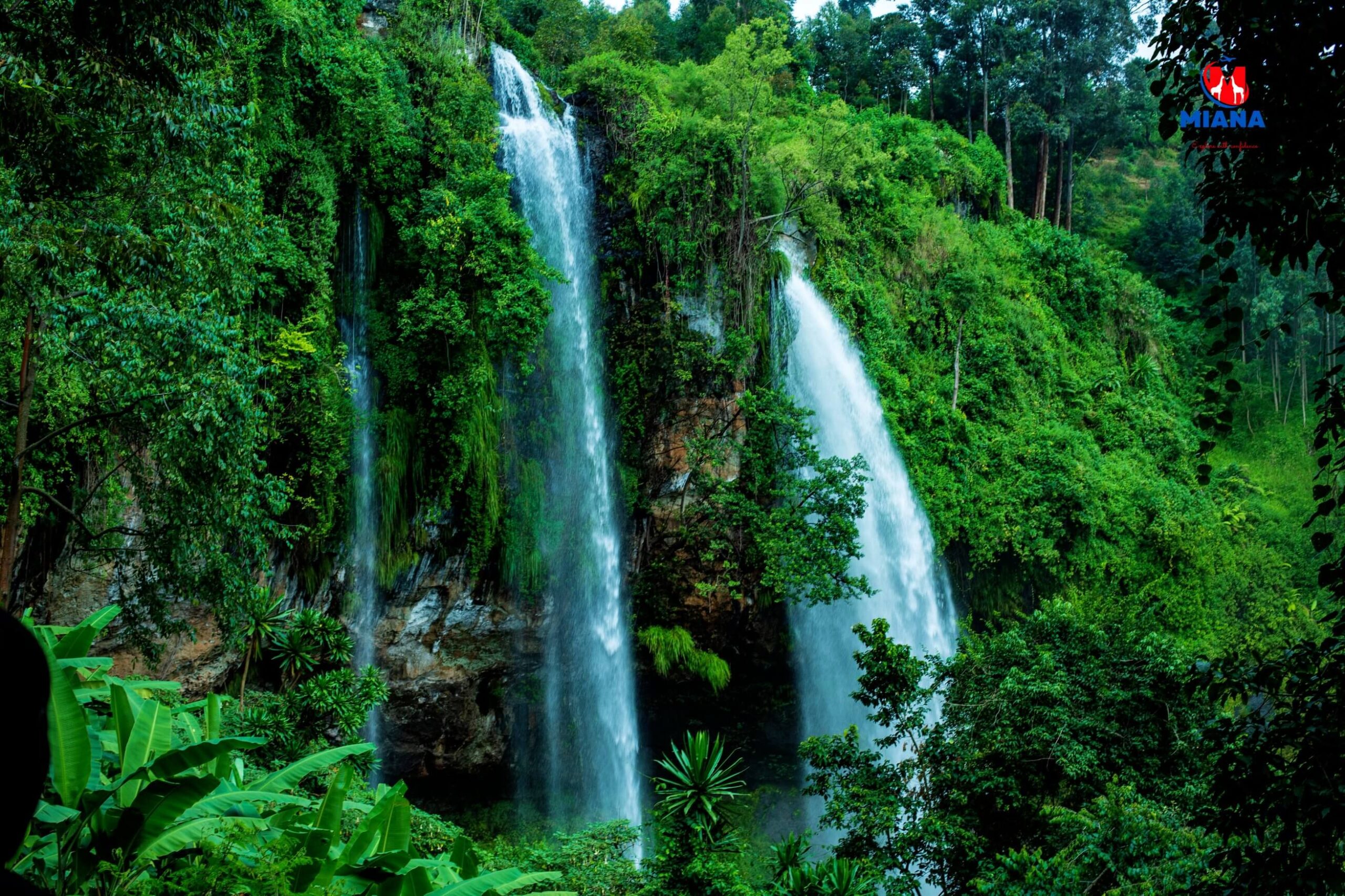 Students enjoying educational field trip in Eastern Uganda with guided learning